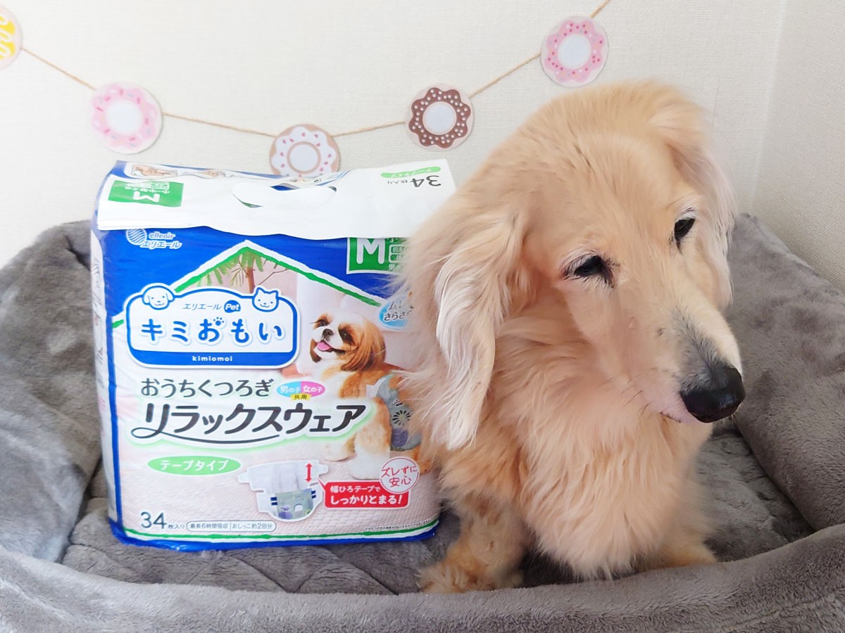 スズ　リラックスウェア テープタイプ Mサイズ 男女共用 34枚入 10袋 キミおもい おうちくつろぎリラックスウェア Mサイズ 34枚