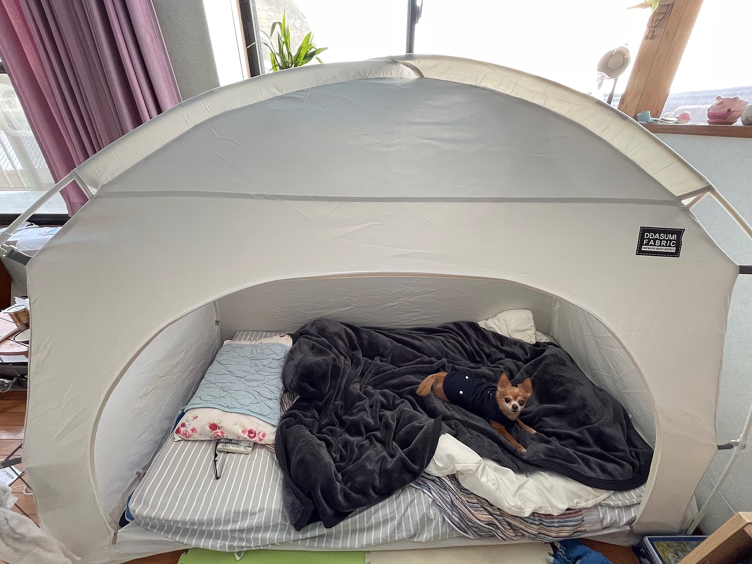 楽天市場】タスミ 暖房テント DDASUMI SIMPLE FABRIC Sサイズ IDOOGEN 