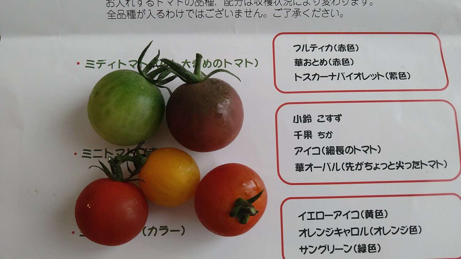 楽天市場 トマト ミニトマト 新鮮 生産者から直送 当店一番人気 数種類のミニトマトが入った 店長おまかせ バラ パックなし ミックス お得な2キログラム お入れする品種配分は店長におまかせくださいクール便にて配送 トマトのお店ショップトリアンジュ みんなの