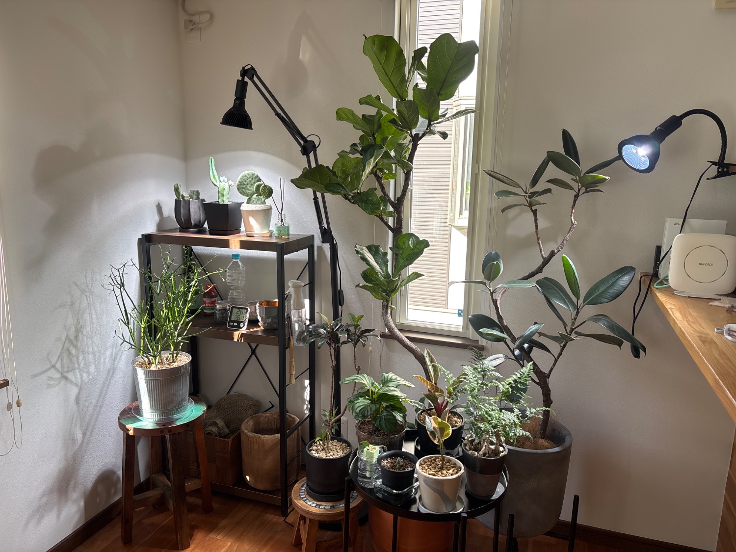 HaruDesign 植物育成LEDライト HASU38 ライトスタッフ 計3個
