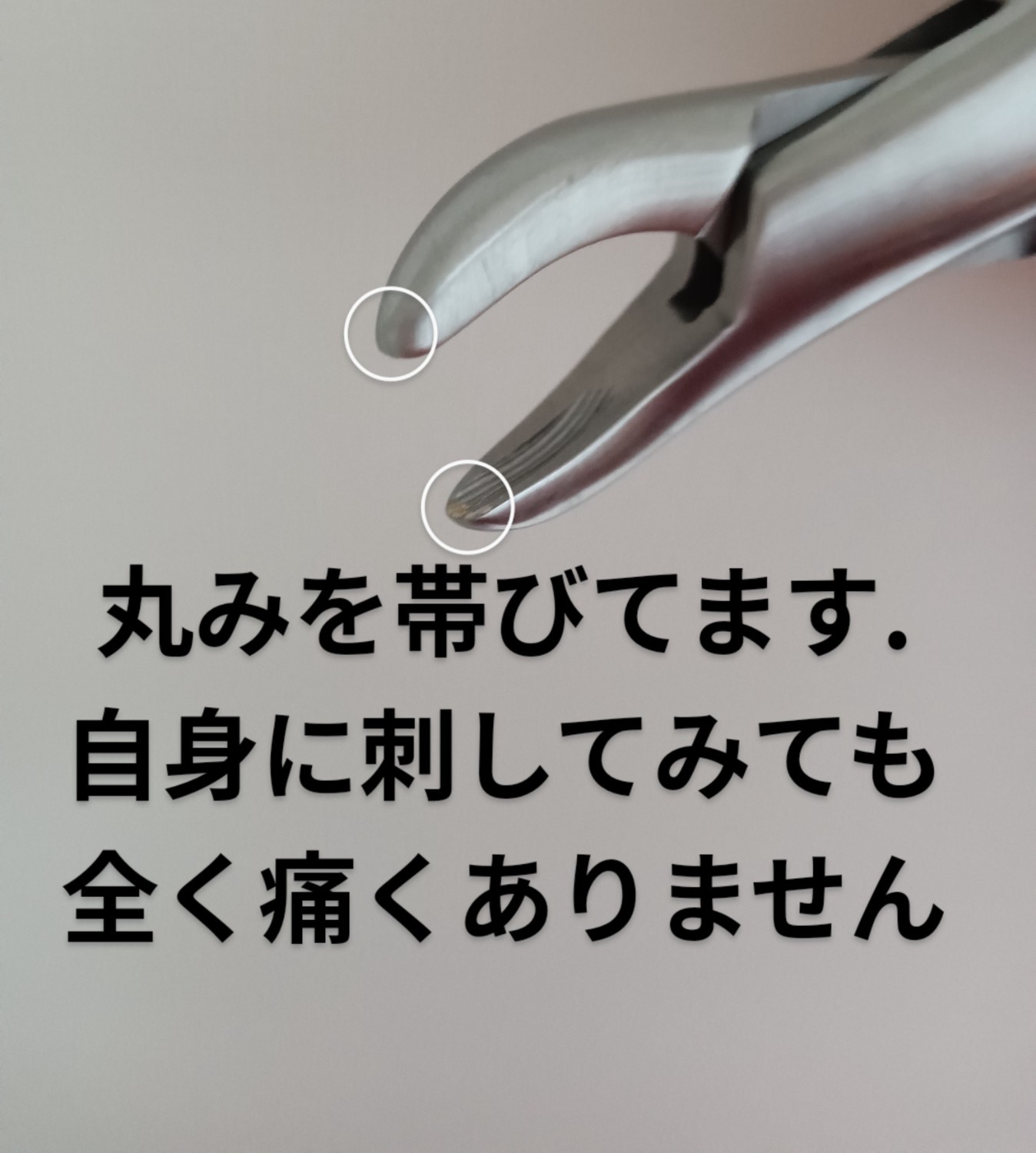 楽天市場】帝塚山ハウンドカム 歯石取りペンチ 犬用 猫用 ステンレス