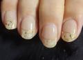 ֡ڸN Cream ShellND-053-J/ ohora gelnails nail ۡ ͥ ͥ ͥ륷 եͥ ͥ륹ƥå ͥ ͥǥ ͥ륷 ͥ륹ƥå ͥ륪 ͥѡ ͥå 顼פξʥӥ塼ܺ٤򸫤