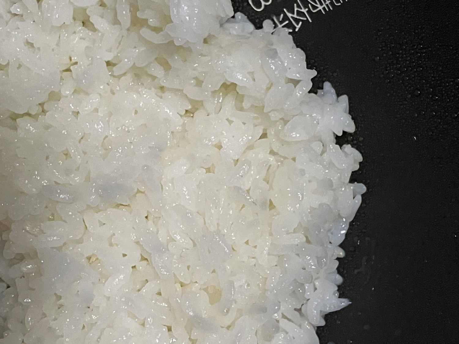 金芽米 金芽米ハイセレクト 無洗米 レビュー画像3