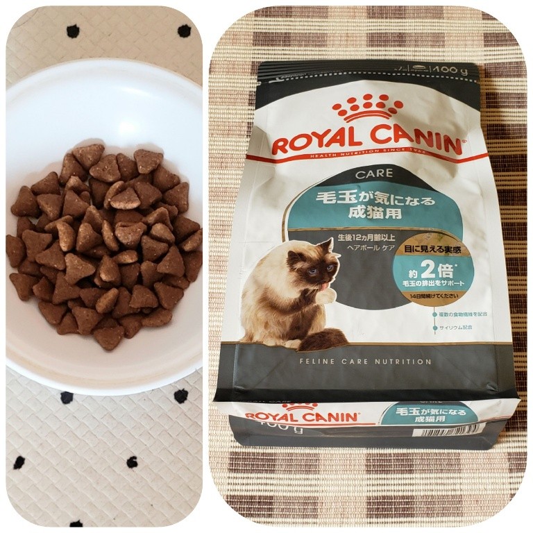 ロイヤルカナン 猫 ヘアボール キャットフード ケア ２ｋｇ×４袋 ジップ付 関東当日便 ドライ 毛玉が気になる成猫用 沖縄別途送料 生後１２ヵ月齢以上