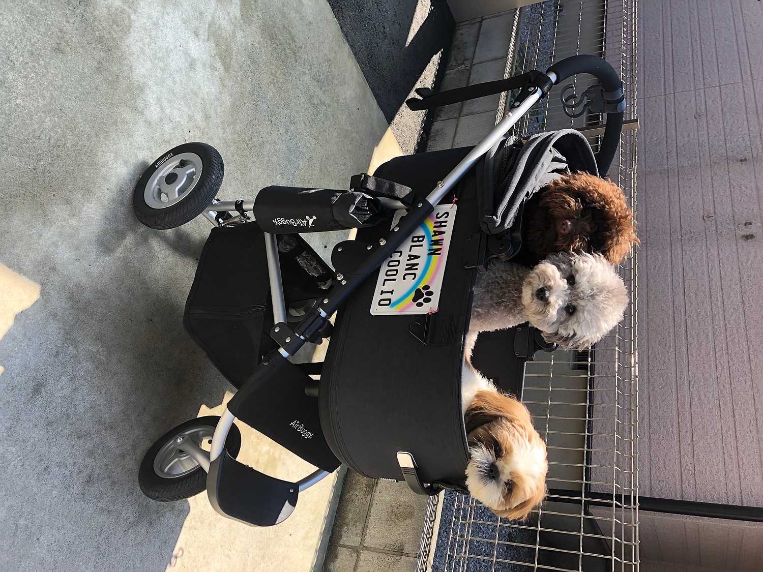 楽天市場 メーカー公式 エアバギー ドーム3 コットラージサイズ 単品 Dome3 犬 ケージ ベッド ペット ドッグ 柴犬 kg 多頭 イタグレ ダックス コーギー フレブル ドッグカート ペットキャリー Lサイズ Ad21ss ペットカート専門店 エアバギー みんなの