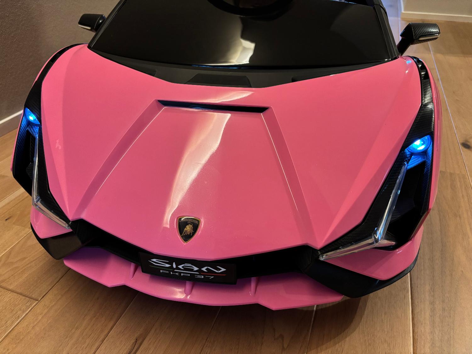 楽天市場】【8%OFF+10倍P】【ORYXEARTH】 【デラックス】電動乗用