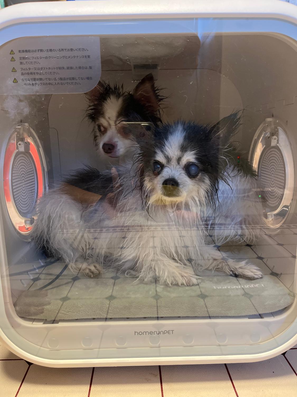 楽天市場】【母の日ギフト】【お得な新価格♪】ドライヤーハウス