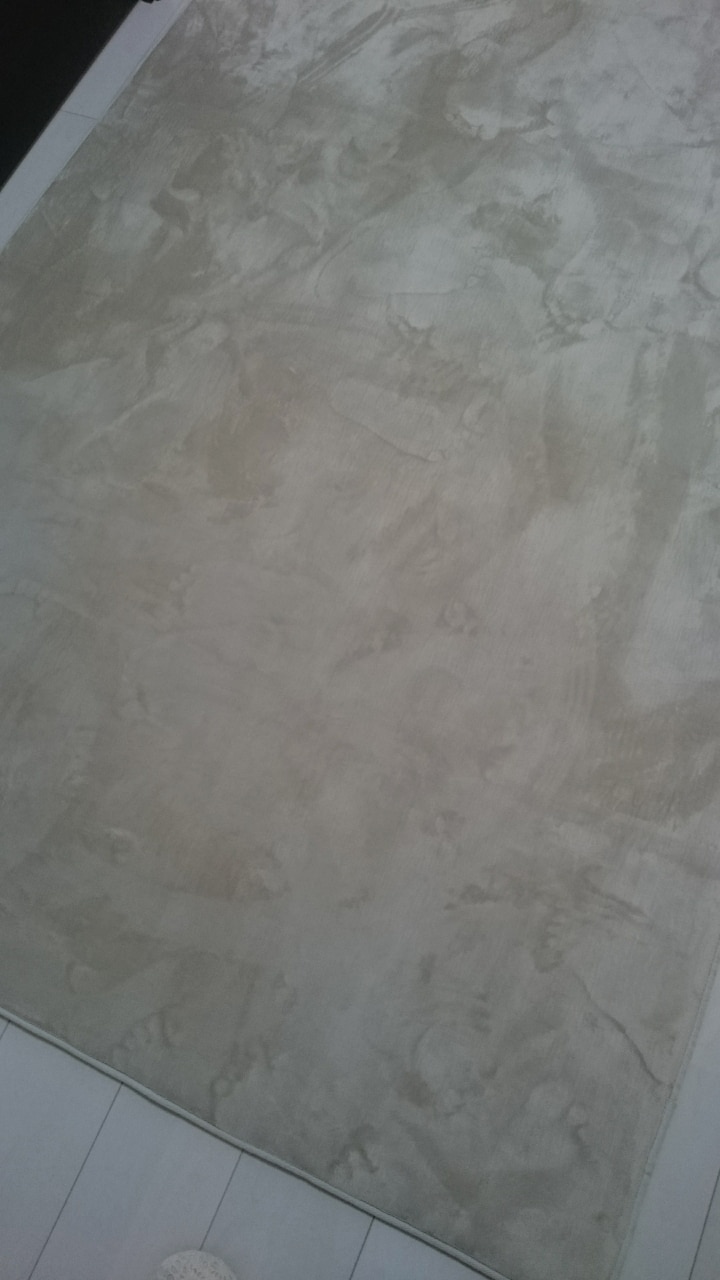 ラグマット 厚さ25mm 遮音 もっちり 低反発 厚手 カーペット 滑り止め付 ふかふか 絨毯 ラグ マット 敷物 長方 低反発ラグ ラグマット 防音ラグ レビュー画像15