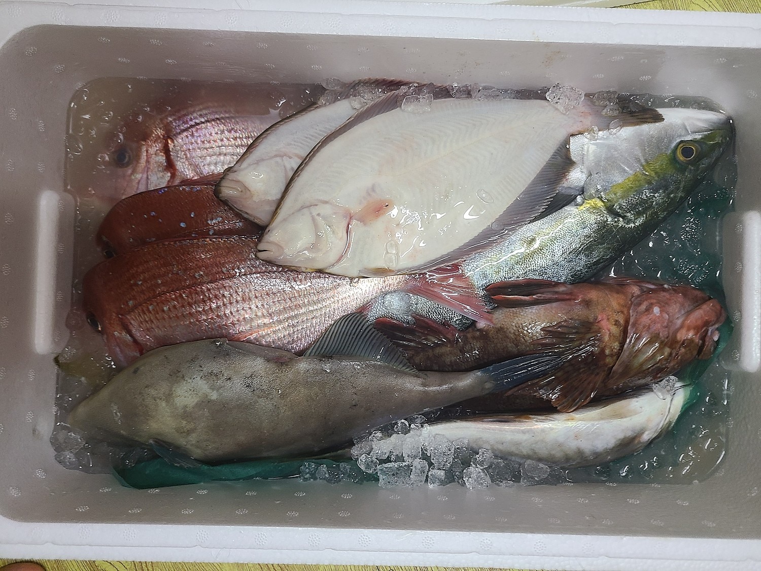 楽天市場 全国送料無料 送料無料 ボリュームタップリ佐渡天然お魚セット約5キロ入って 6280 とにかくいろんな魚が入ってます かすけ みんなのレビュー 口コミ 楽天市場 全国送料無料 送料無料 ボリュームタップリ佐渡天然お魚セット約5キロ入って 6280 とにかくいろんな魚が入ってます かすけ みんなのレビュー 口コミ