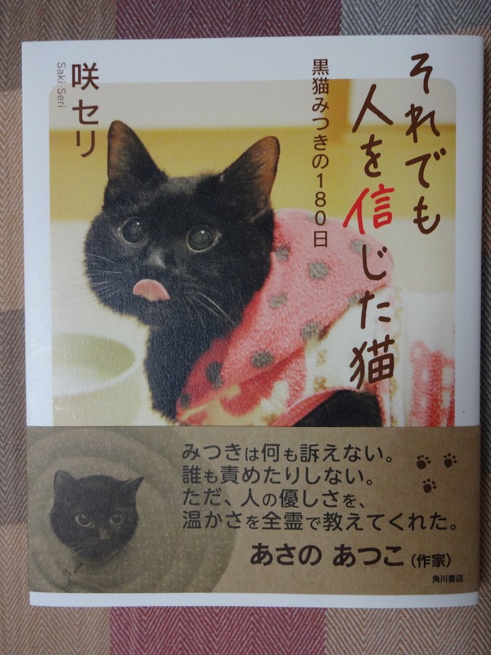 楽天市場 それでも人を信じた猫 黒猫みつきの180日 咲 セリ 楽天ブックス みんなのレビュー 口コミ