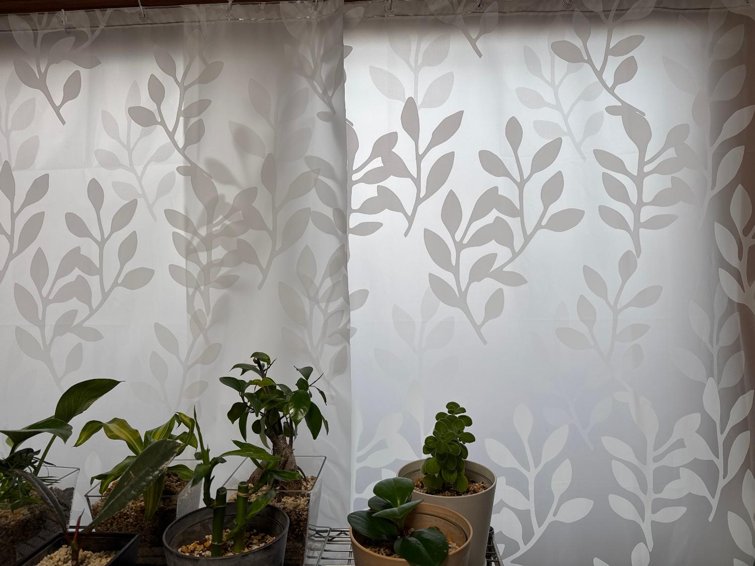 購入者レビュー写真