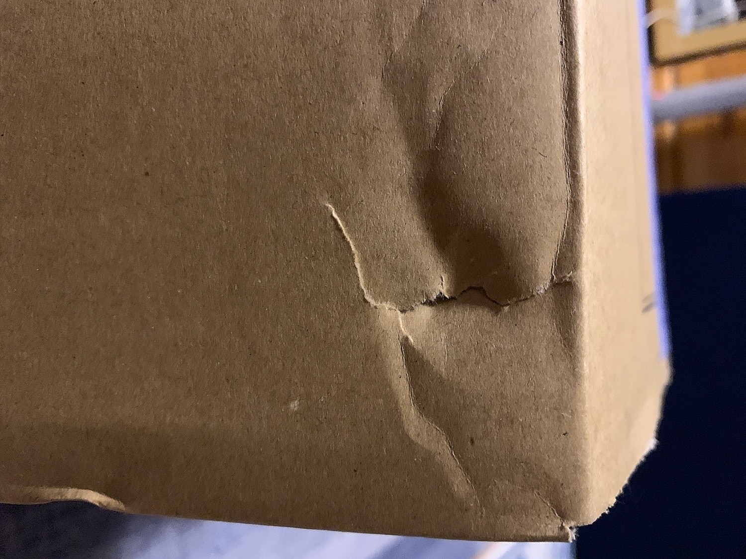 シックスパッド フットフィットライト SIXPAD Foot Fit Lite 敬老の日 ギフト プレゼント クリスマス シックスパッド フットフィットライト SIXPAD レビュー画像5