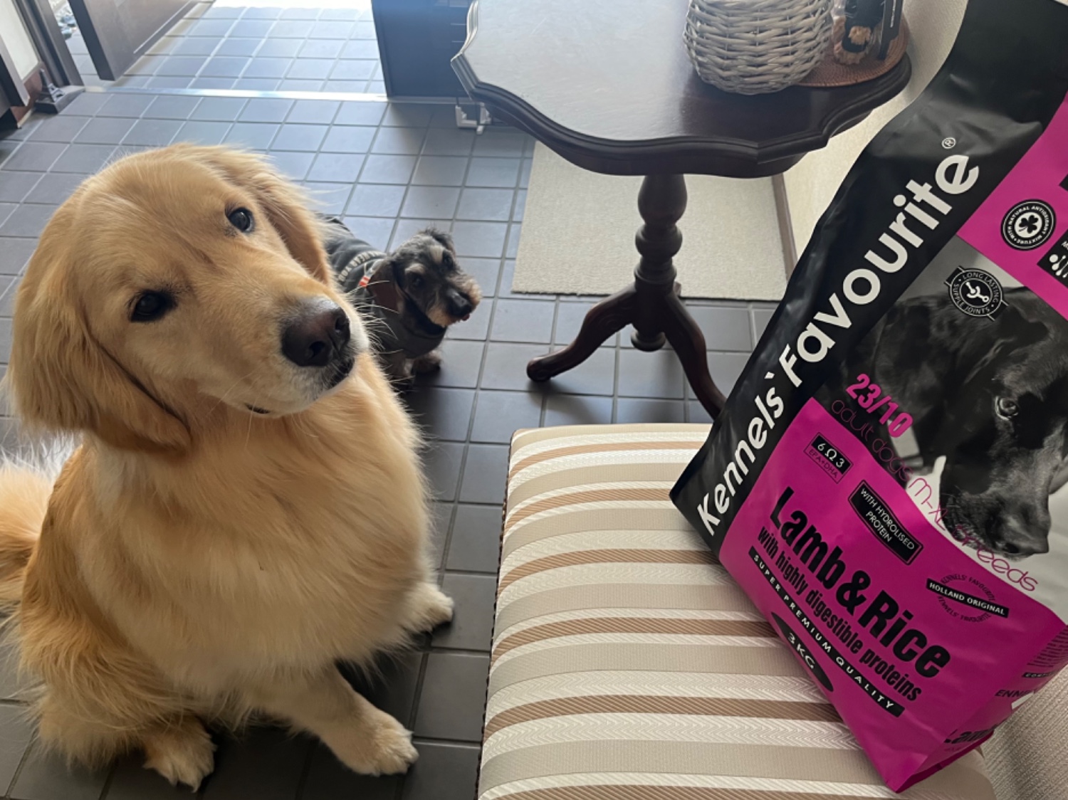 楽天市場】選べるおまけ Kennel's Favourite ケンネルズ
