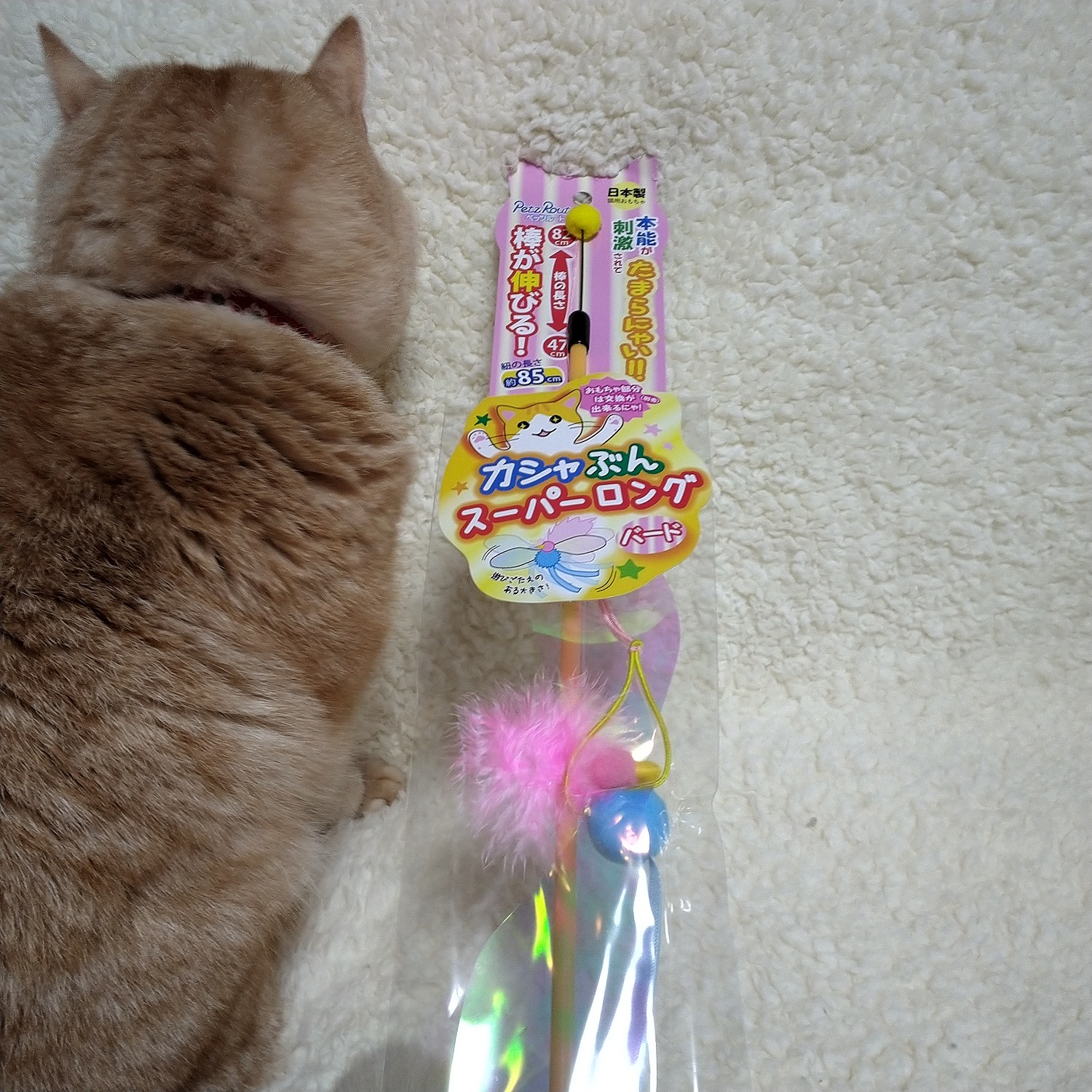 猫じゃらし　ペッツルート　カシャぶんスーパーロング　交換用　バード　猫　猫用おもちゃ　関東当日便