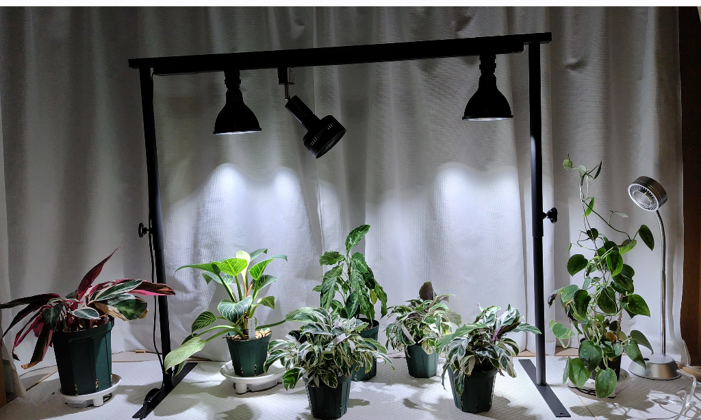 爆買い植物育成LEDライト NEO AMATERAS 20W 2個セット その他