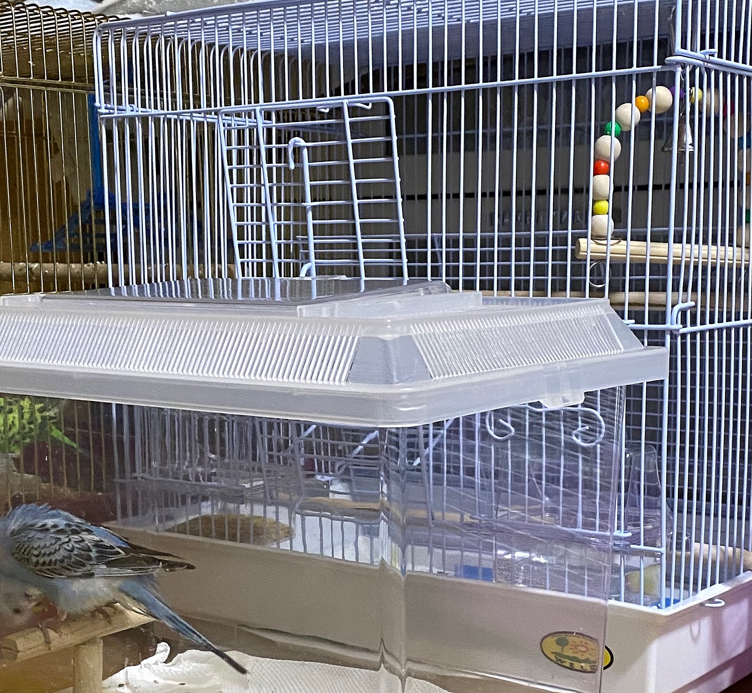 楽天市場】三晃商会 SANKO バードケージ30 （42．3×30．5×42cm） 鳥 