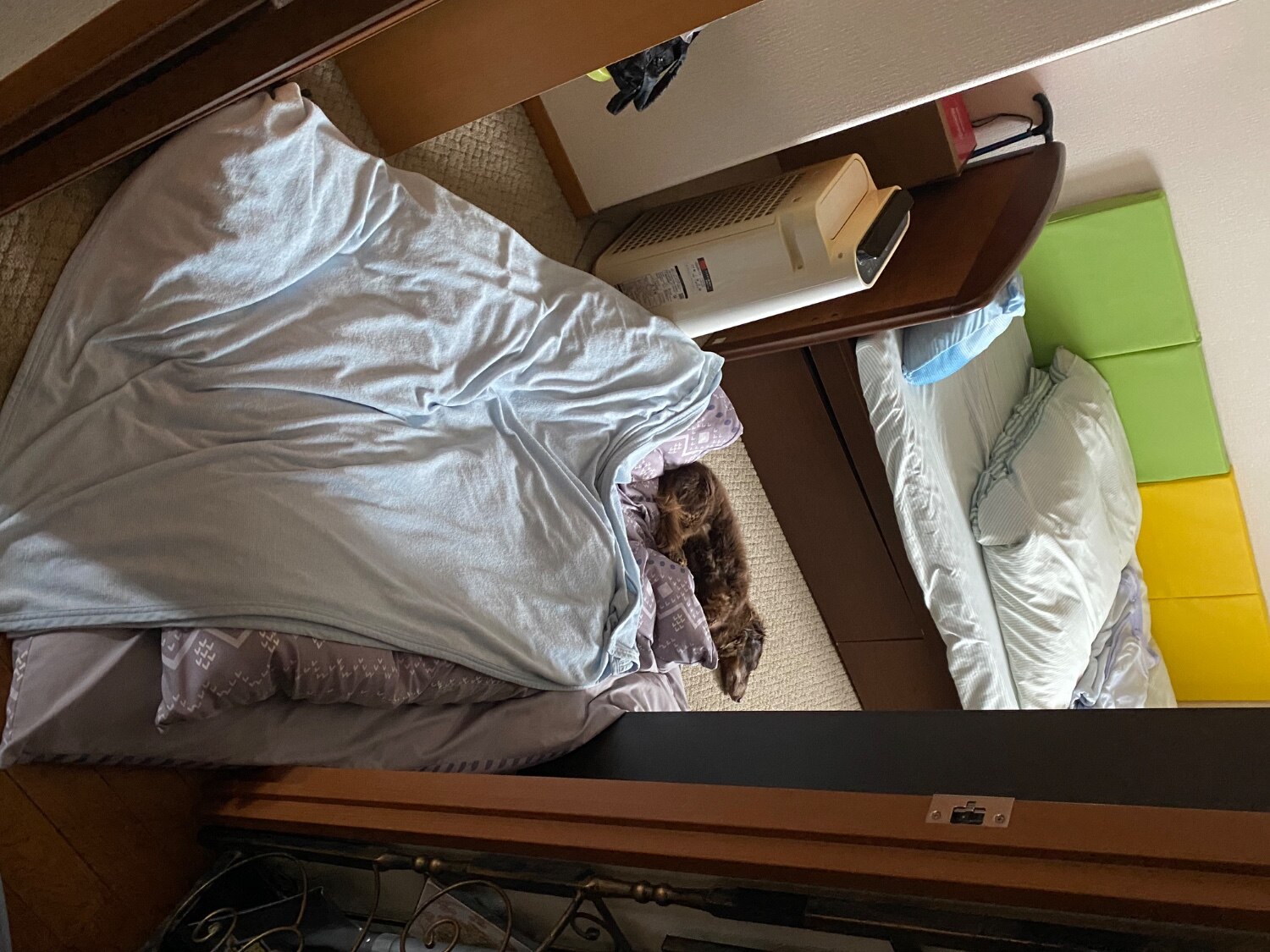 購入者レビュー写真