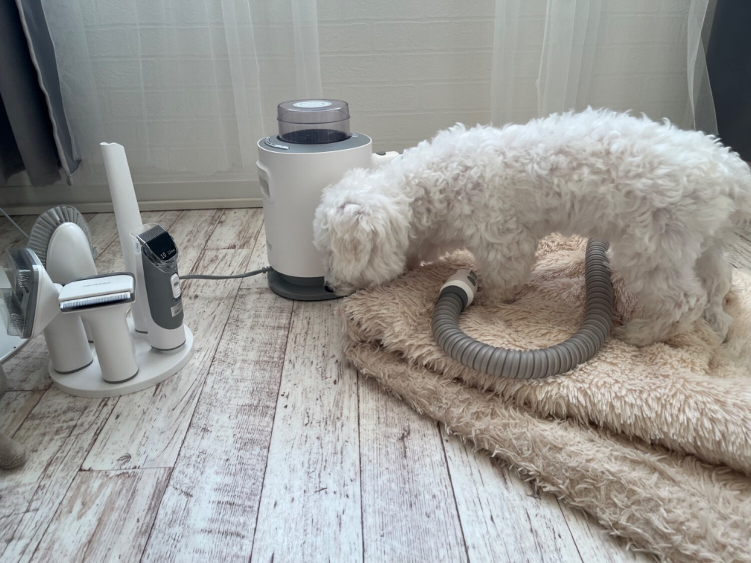 当日発送★48dB超静音 Neakasa P0 Pro ペットバリカン ペットバリカン 掃除機 犬用バリカン 犬 掃除機 ペットバリカン Neakasa ペットグルーミング レビュー画像8