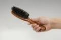 ֥إ֥饷  KENT ӤΥإ֥饷  դĤ KNH-2624a Hair brush [ͥA]פξʥӥ塼ܺ٤򸫤
