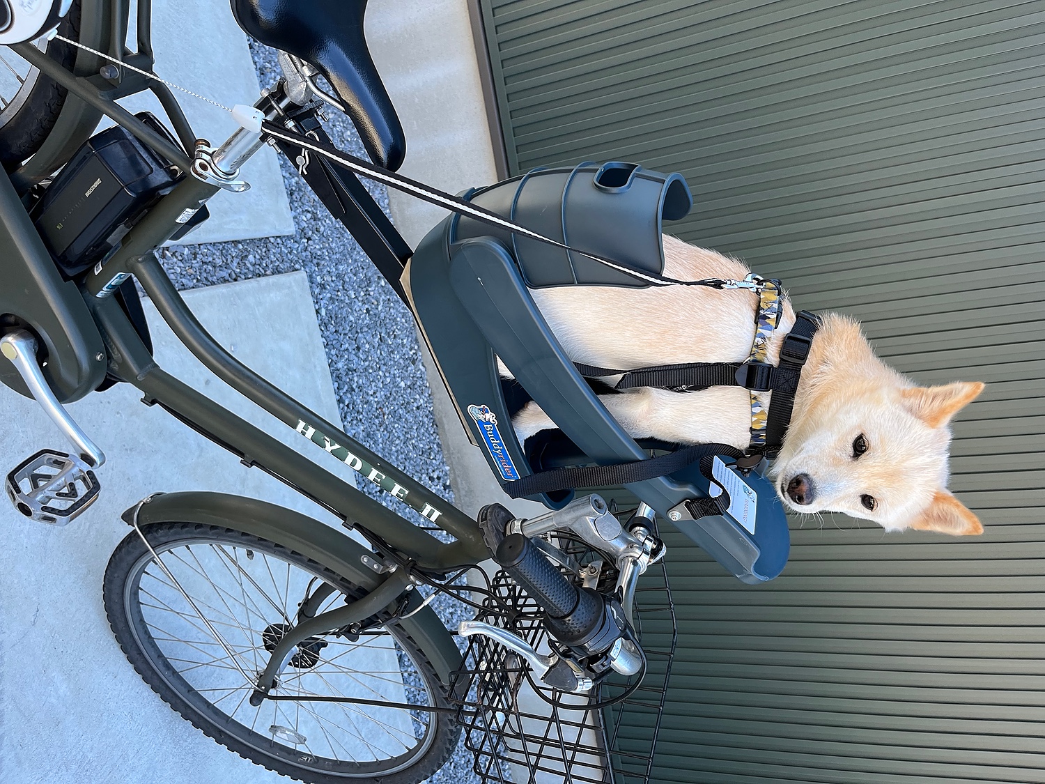 犬用自転車シート バディライダー buddyrider ブースターセット-