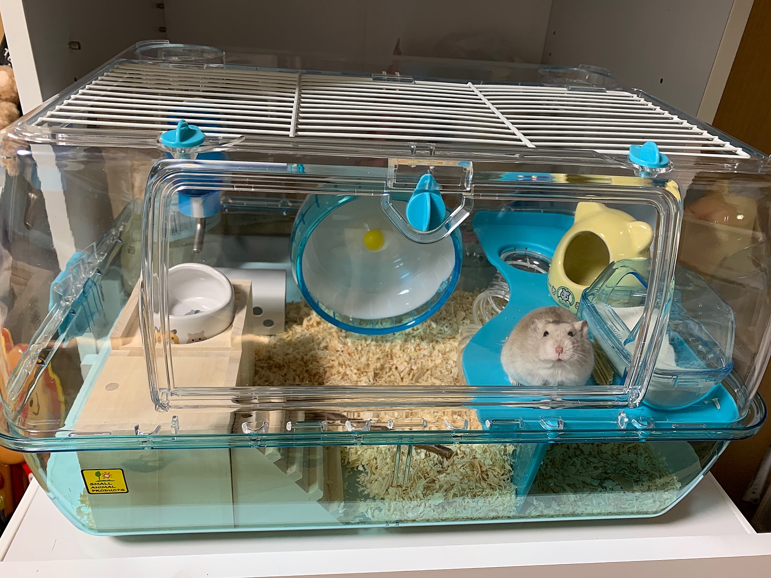 ハムスター 飼育セット ルーミィ60 - 家具