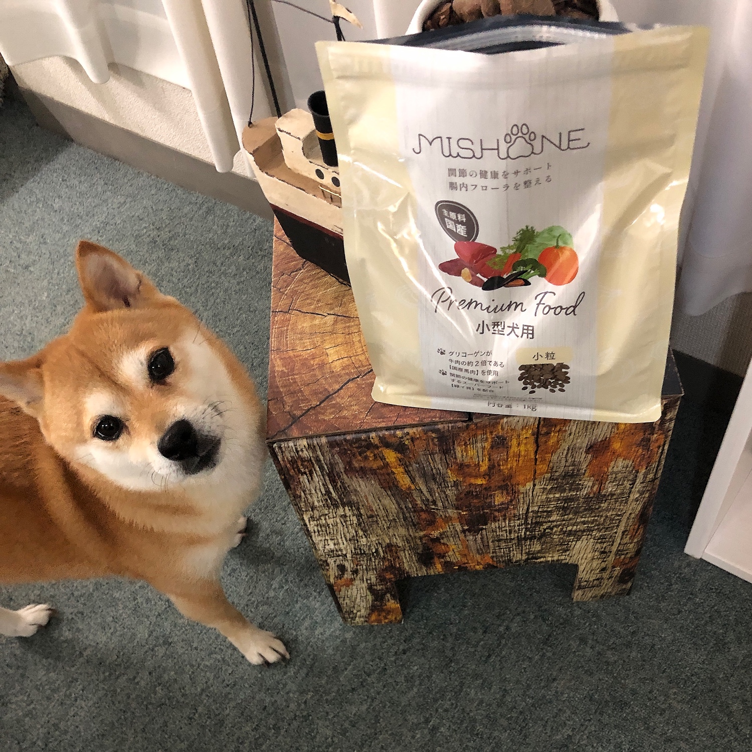 MISHONE ミシュワン 小型犬用 ドッグフード 1kg×4袋 - ドッグフード