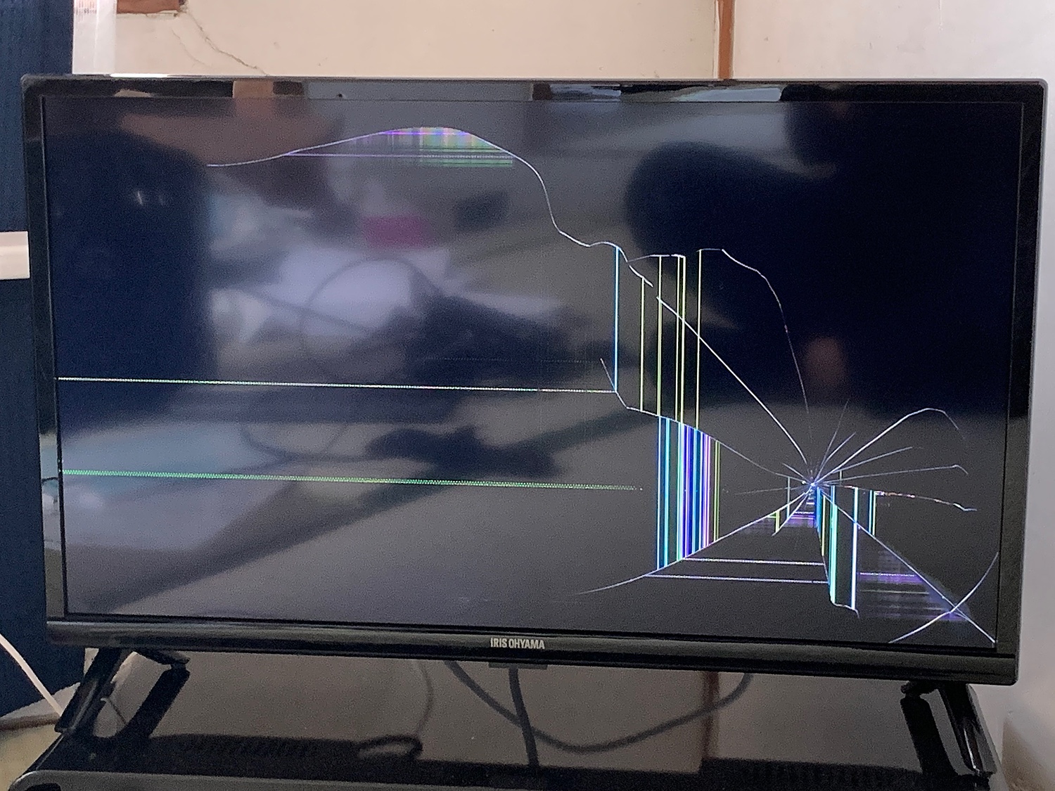楽天市場】【選べるクロームキャスト付】 テレビ 液晶テレビ 24v