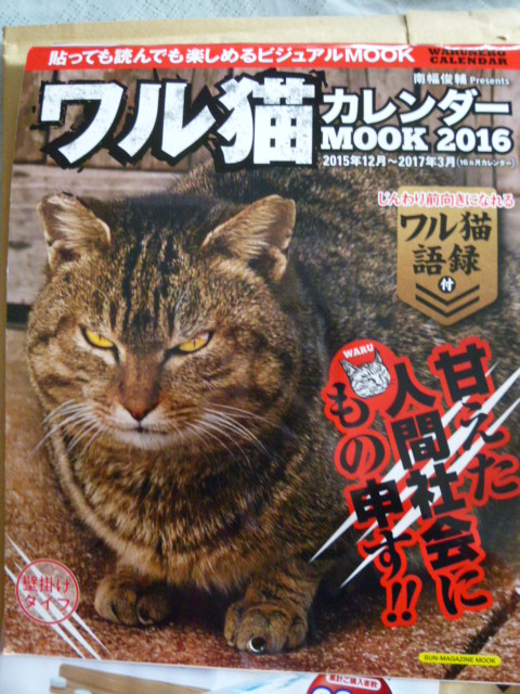 楽天市場 ワル猫カレンダーmook 16 貼っても読んでも楽しめるビジュアルmook Sun Magazine Mook 南幅俊輔 楽天ブックス みんなのレビュー 口コミ