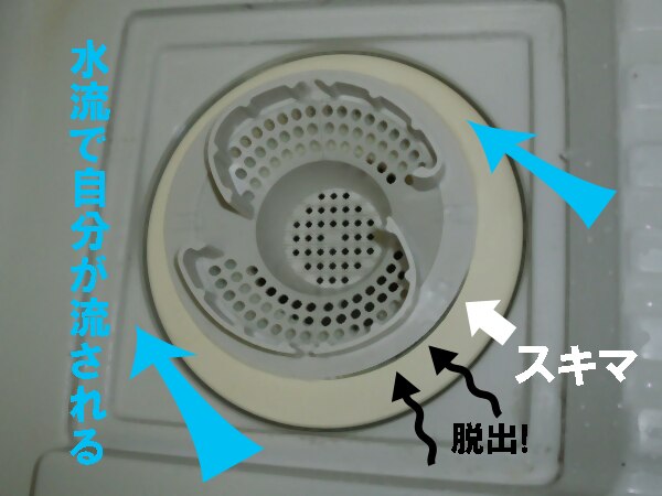 楽天市場 メール便 定形外 ポスト投函 送料無料 お風呂グッズ 髪の毛くるくるポイ Cタイプ X2個セット 抗菌加工 うずの力で排水口の不満を解決いたしました Smtb S 健康美容用品専門店frontrunner 40代 みんなのレビュー 口コミ