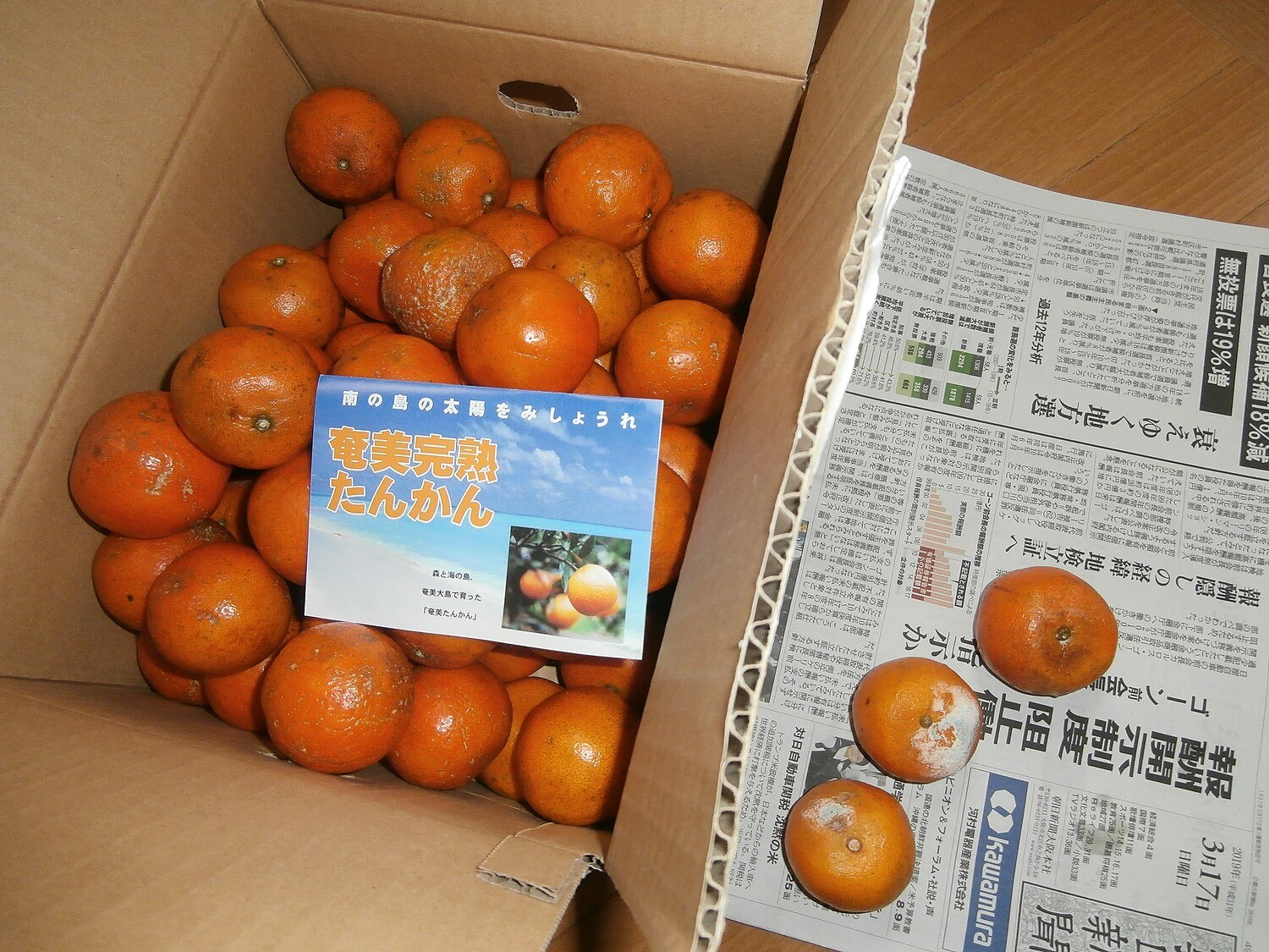 【楽天市場】送料無料 奄美大島 訳あり たんかん 5kg ワケあり タンカン 奄美奄美大島 訳あり たんかん タンカン みかん ご家庭用 ...