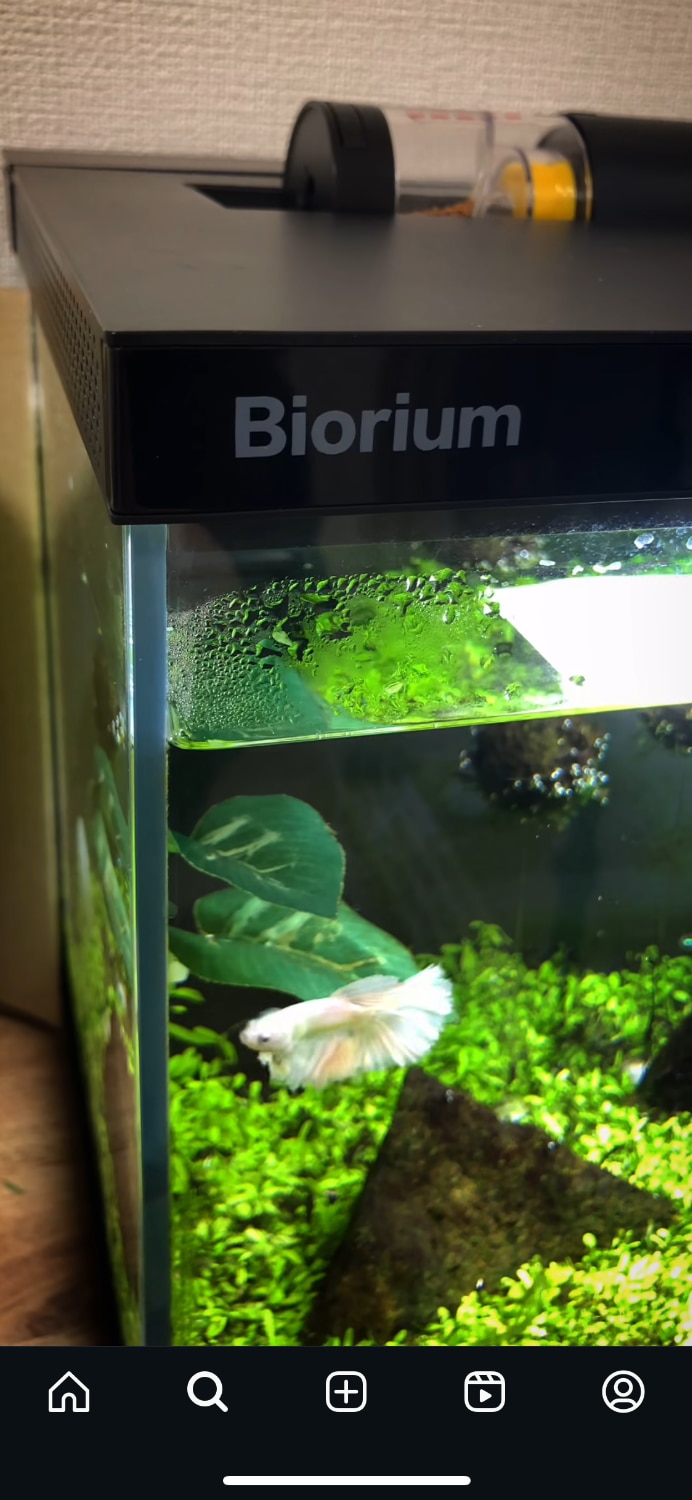 Biorium IoT搭載 クリアガラス 自動給餌機