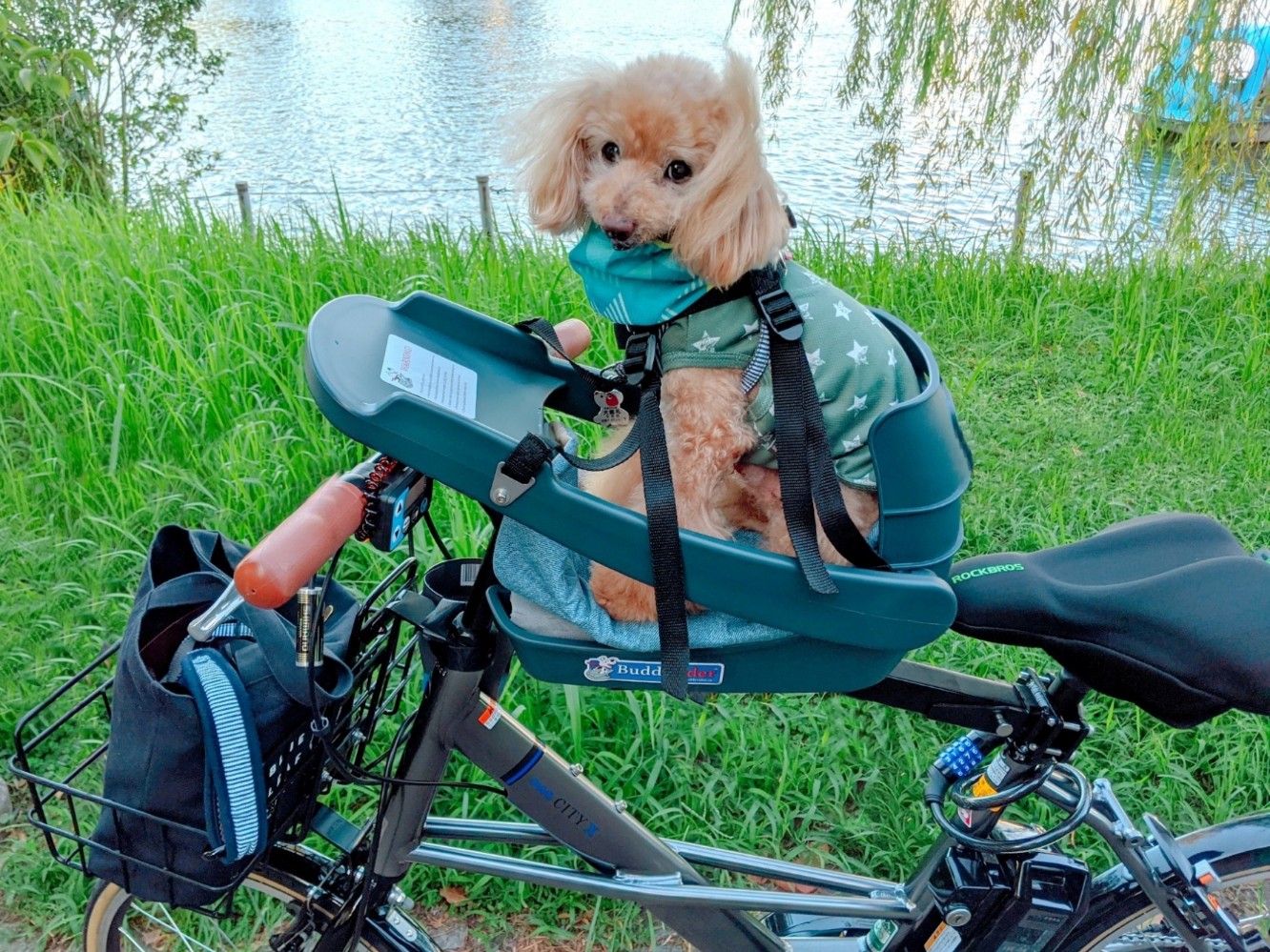 販売店舗Buddy Rider (バディーライダー）犬用自転車シート 首輪・ハーネス・リード