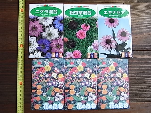 楽天市場 花たね プリムラ ビアリーミラクル 1袋 国華園 未購入を含む みんなのレビュー 口コミ