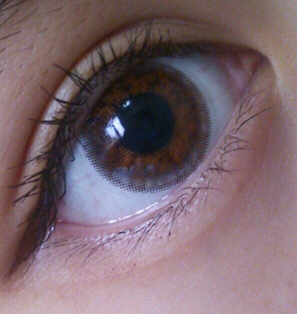 楽天市場 Hama0123さんの ランキング1位獲得 1年用ナチュラルハーフカラコン カラコン 1年 メルベル 送料無料 速達メール便ok 2箱2枚入り 度あり度なし ポイント10倍 あす楽 プレゼント付き 14 0mm 一年使用 ナチュラル ハーフ 自然 人気 Melbelle 八木