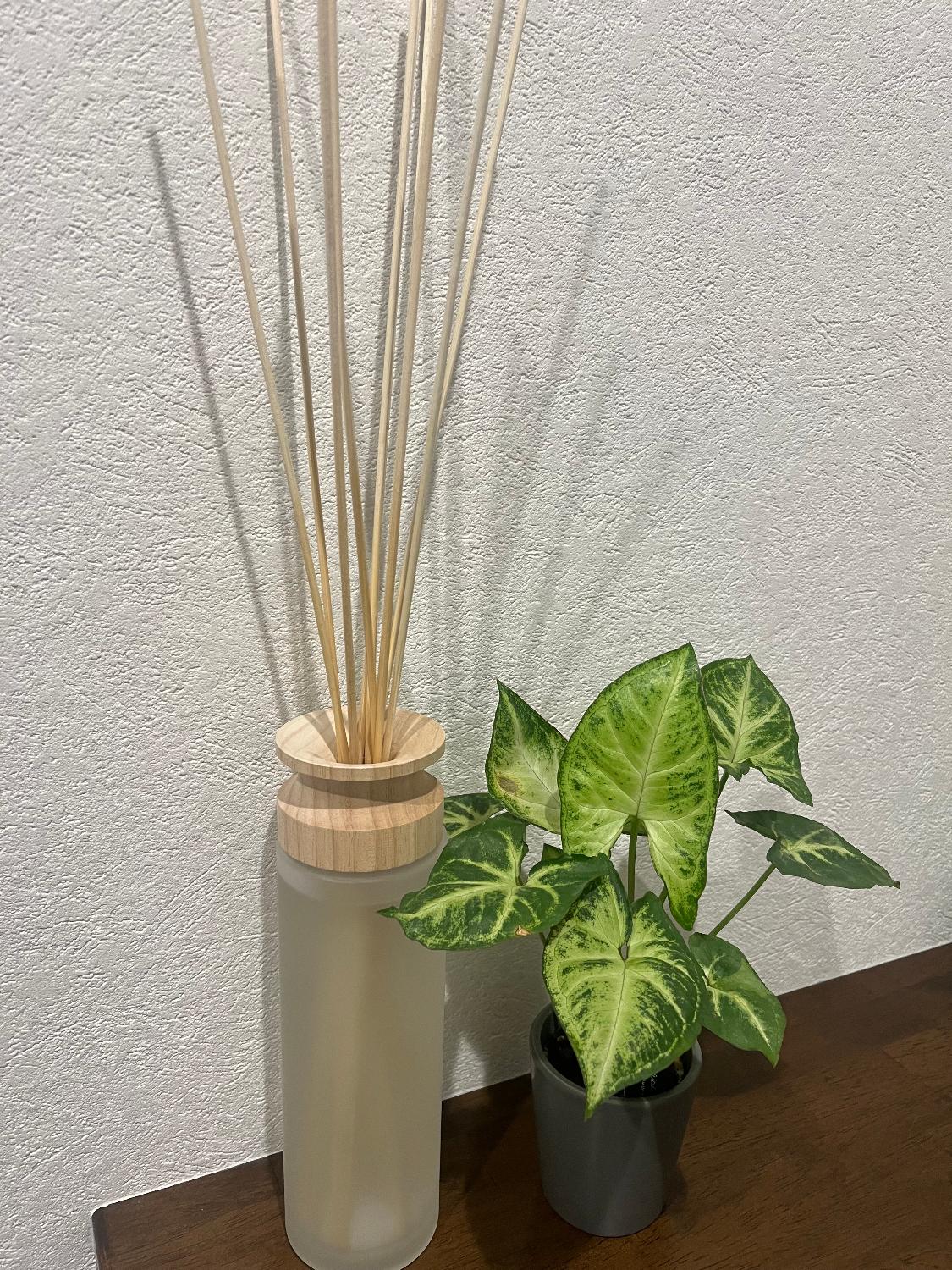 購入者レビュー写真