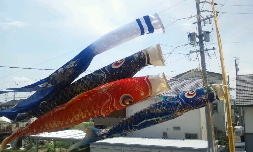 鯉のぼり こいのぼり 初節句 レビュー画像16