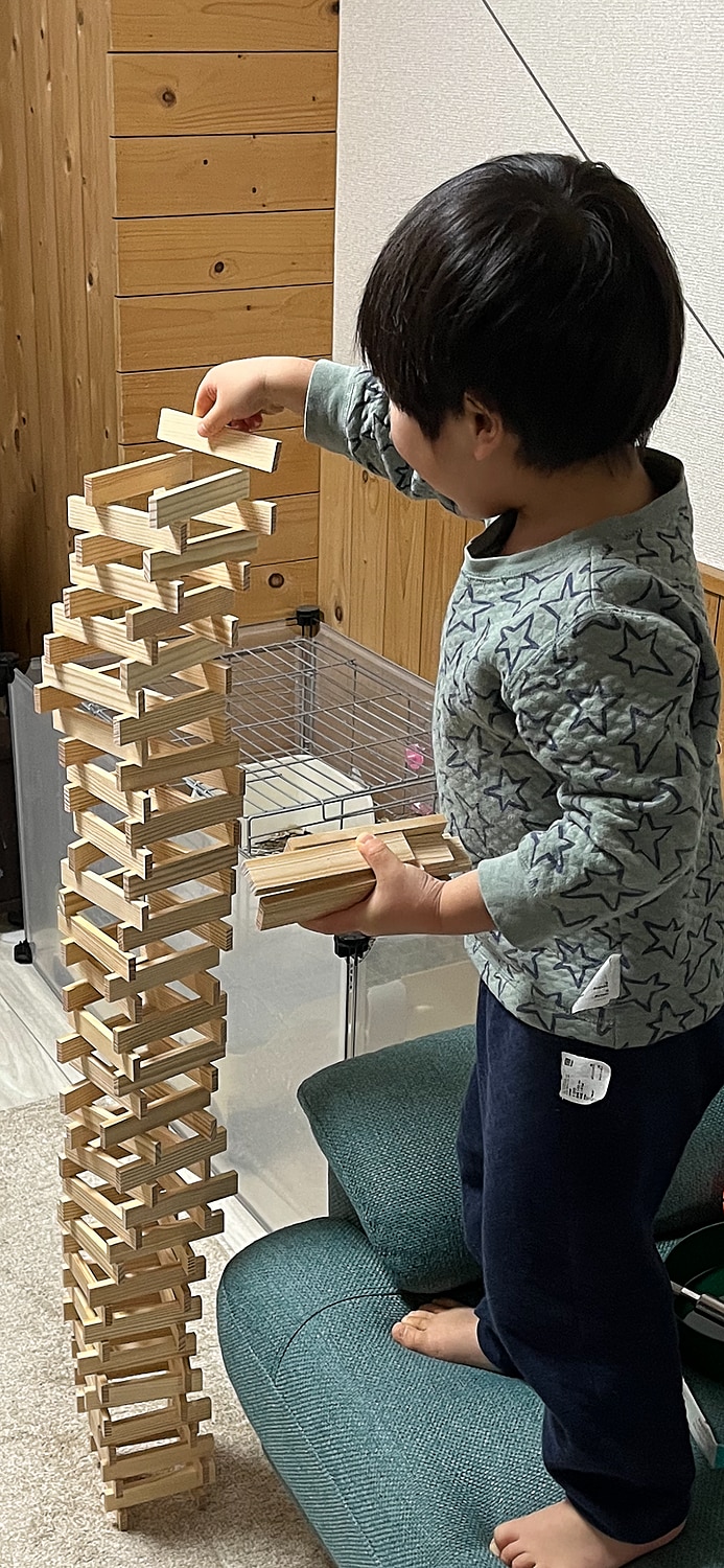 カプラ カプラ200 口コミ レビュー画像13