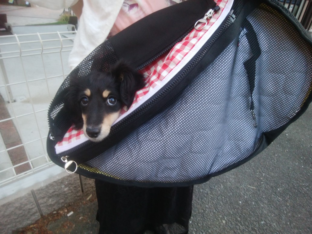 正規品】ファンドル（FUNDLE）犬 猫 用 キャリーバッグ ドッグ スリング ペット 抱っこ紐 小型犬 中型犬 ドライブボックス おしゃれ 病院  大切なワンちゃんのことを考え抜いた【特許デザイン】 丈夫で長持ち 安全な3重ジッパー 肩の負担軽減スポンジ入りショルダーベルト ...