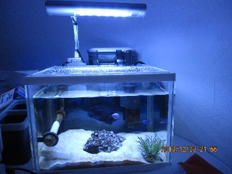 楽天市場 アウトレット品 テトラ Ledミニライト Led Mini 小型水槽用照明 熱帯魚 水草 アクアリウムライト 訳あり 関東当日便 Charm 楽天市場店 参考になるレビュー順 みんなのレビュー 口コミ 楽天市場 アウトレット品 テトラ Ledミニライト Led Mini 小型水槽用照明 熱帯魚 水草 アクアリウムライト 訳あり 関東当日便 Charm 楽天市場店 参考になるレビュー順 みんなのレビュー 口コミ