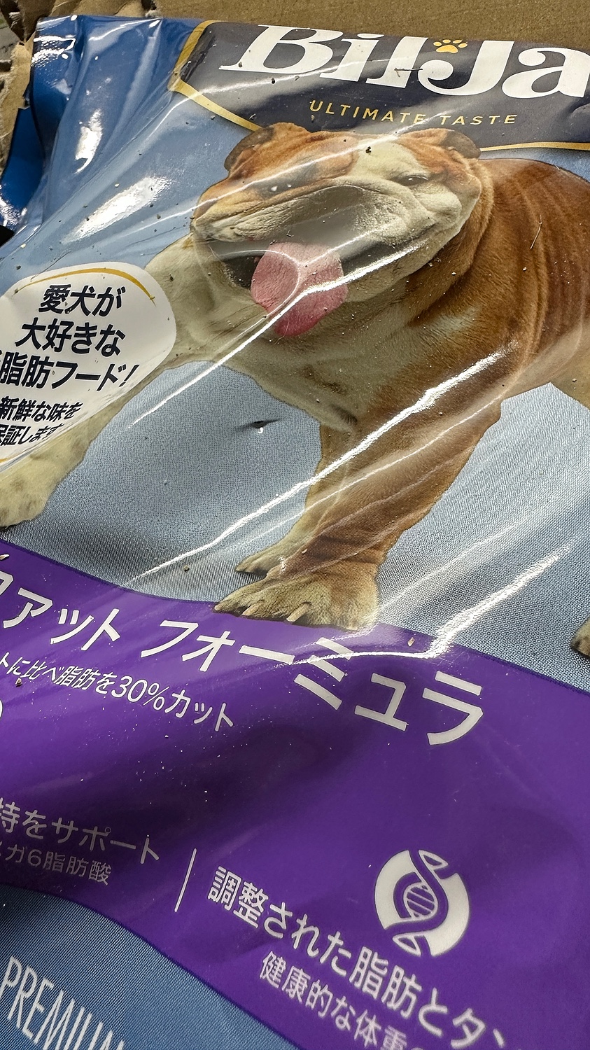 日本製 ビルジャックシニア 犬 サンプル6袋 高齢犬 犬用品