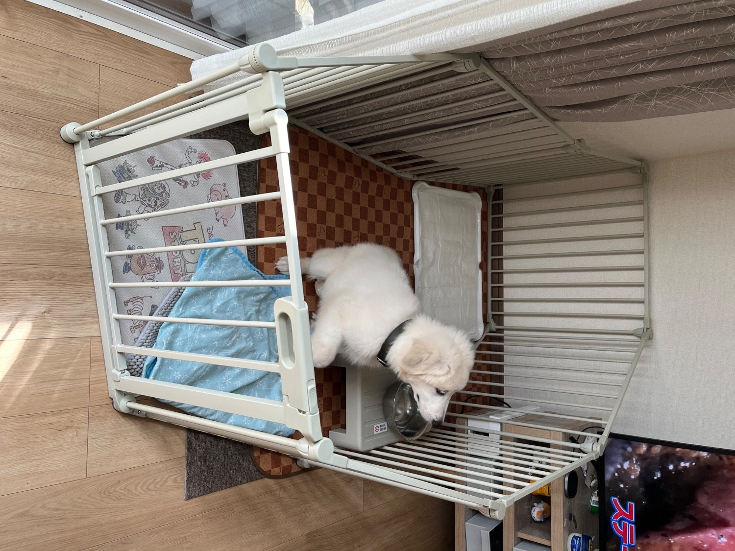 ■3 ペットサークル 犬ケージ 折りたたみサークル レビュー画像11