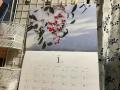 「壁掛けカレンダー カレンダー 2024年 四季の花木 カレンダー A3カレンダー」の商品レビュー詳細を見る