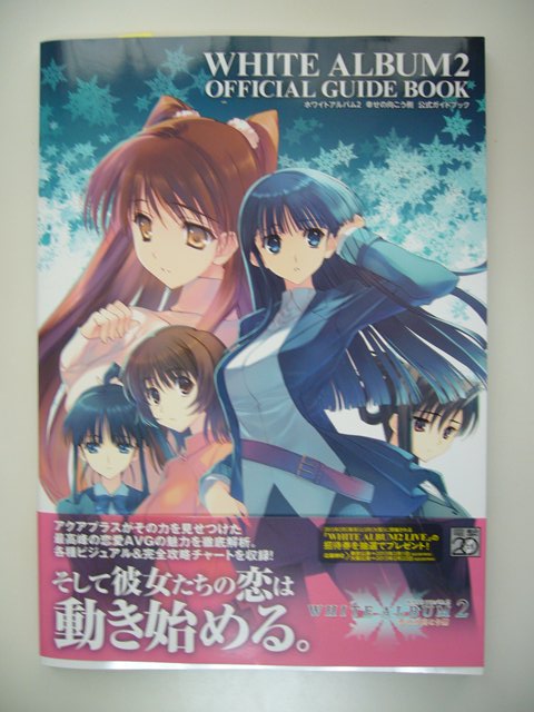 公式ガイドブック