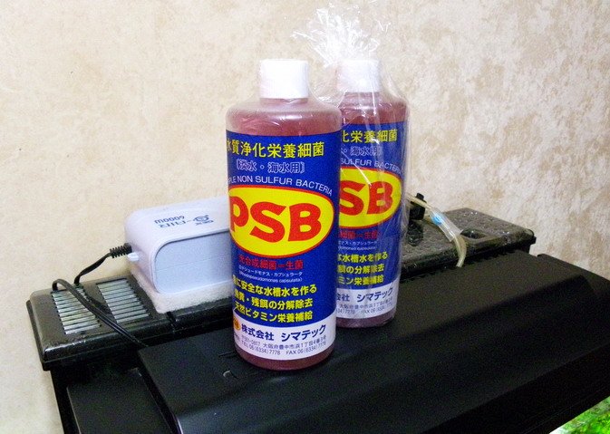 楽天市場 サンミューズ 水質浄化栄養細菌 1000ml 光合成細菌 淡水 海水用 バクテリア 熱帯魚 観賞魚 関東当日便 Charm 楽天市場店 未購入を含む みんなのレビュー 口コミ