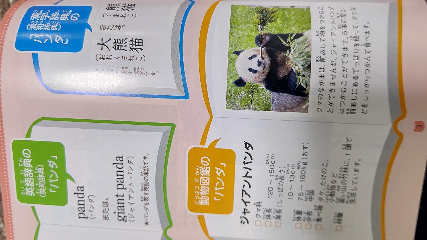 楽天市場 楽天ブックス限定特典 新レインボー小学国語辞典 改訂第6版 小型版 オールカラー 辞典を使って解いてみよう クイズブック データ配信 小学生向辞典 事典 金田一春彦 楽天ブックス みんなのレビュー 口コミ