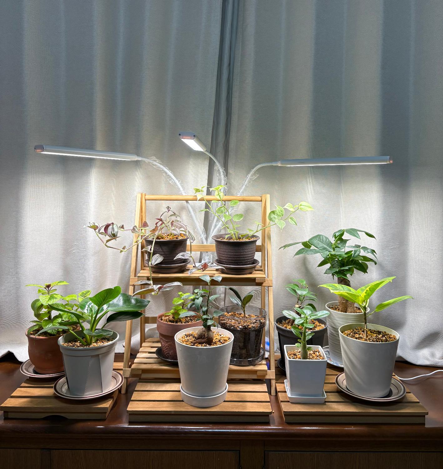 BRIM FLORA 3ヘッド植物育成ライト 2個セット（ 美品・付属品あり） 楽天市場】BRIM(ブリム) 公式 FLORA 3ヘッド 植物育成ライト LED 雑誌