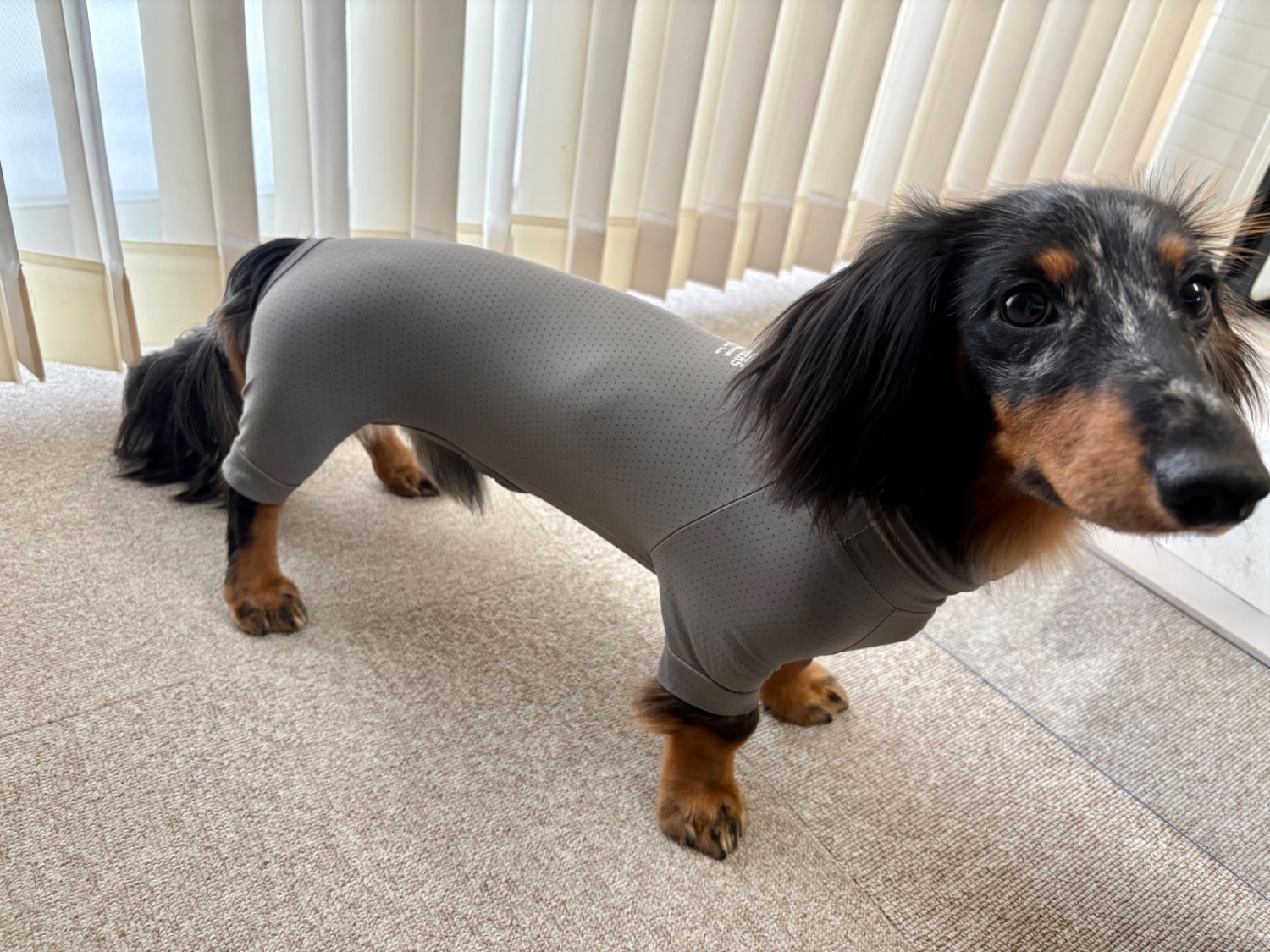 マンダリンブラザーズ 防虫 服 犬 抜け毛 対策 インナー 夏服 虫よけ クール 接触冷感 ネッククーラー インセクトシ マンダリンブラザーズ インセクトシールド スキンタイトスーツ レビュー画像6