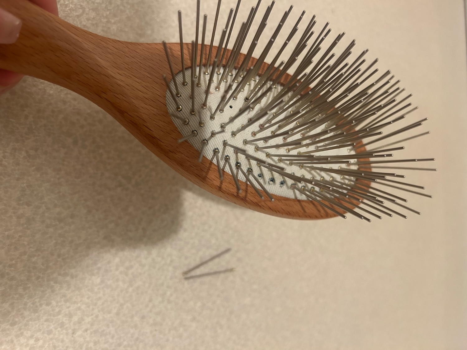 スノーフォックス SNOWFOX プレミアム スカルプ ブラシ 神崎恵 神崎恵 本