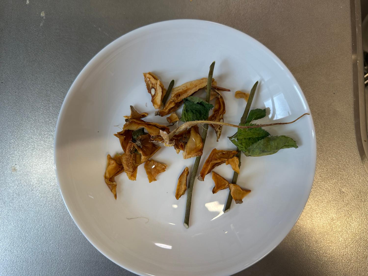 楽天1位 パリパリキュー PPC-11 生ごみ処理機 レビュー画像5