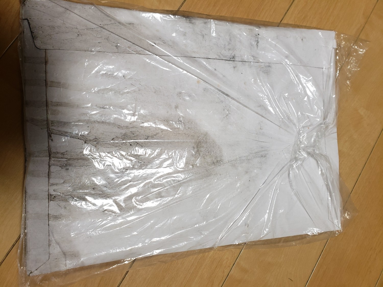 緑茶 ティーバッグ お茶 選べる緑茶 ほうじ茶 茶葉 鹿児島茶 南九州市産 日本茶 知覧茶 ティーバッグ 口コミ レビュー画像10